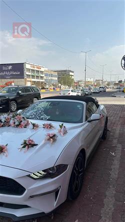 فورد موستانج